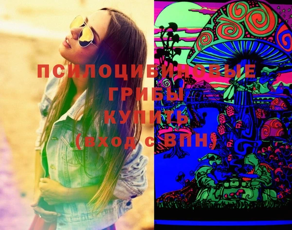 меф Инсар