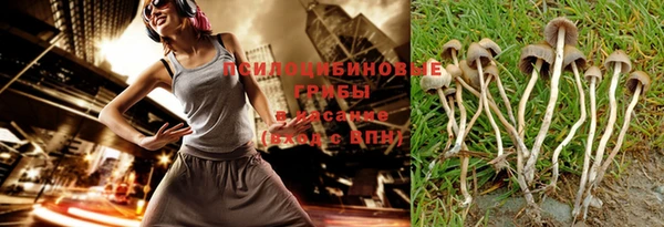 спиды Алексеевка