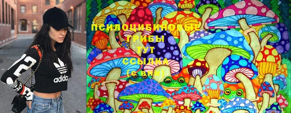 спиды Алексеевка