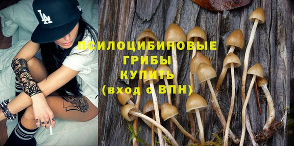 спиды Алексеевка
