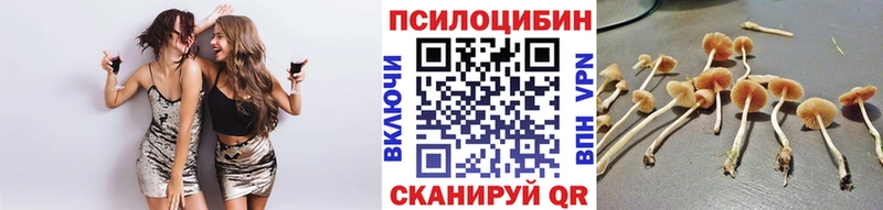 Псилоцибиновые грибы Magic Shrooms  Бологое 